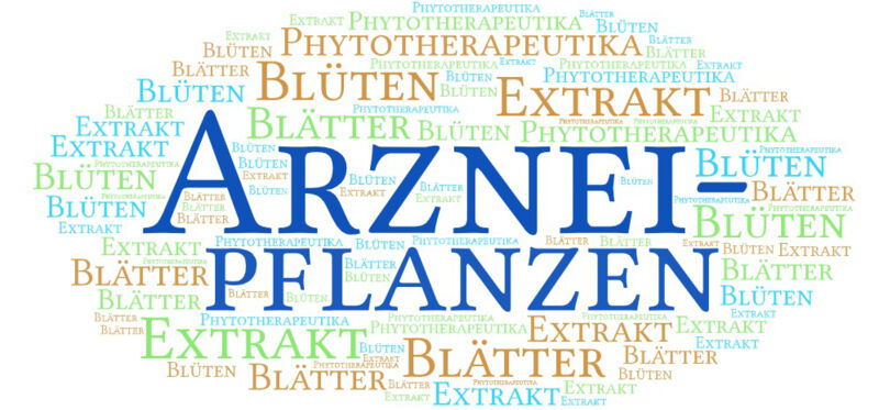 Zu den Teilen von Arzneipflanzen, die für medizinische Zwecke verwendet werden können, gehören Wurzeln, Wurzelstock, Blätter, Blüten, Früchte, Samen, Rinde usw.