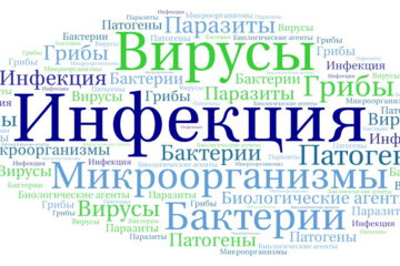 Инфекция
