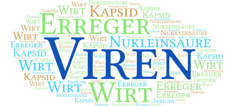 Viren können ein breites Spektrum von Krankheiten verursachen, von leichten Infektionen wie Erkältungen bis hin zu schweren Krankheiten wie Ebola, HIV/AIDS und COVID-19.