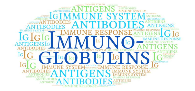 Immunoglobulins have an antibody structure and are able to bind to antigens so that they can detect and attack foreign microorganisms such as bacteria, viruses and other infectious agents.