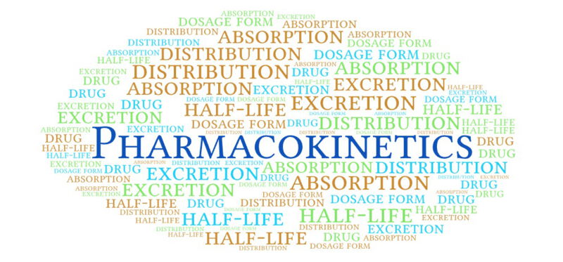 Pharmacokinetics describes the processes that occur when drugs enter the body, how quickly and in what quantity they enter the blood and tissues, and how long they remain in the body.