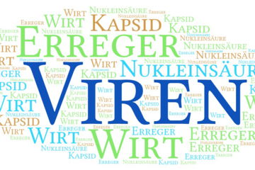 Viren können ein breites Spektrum von Krankheiten verursachen, von leichten Infektionen wie Erkältungen bis hin zu schweren Krankheiten wie Ebola, HIV/AIDS und COVID-19.