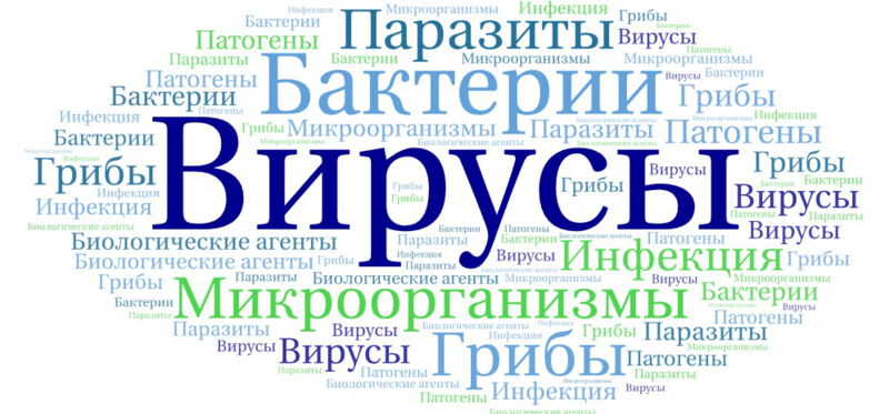 Вирусы - описание термина