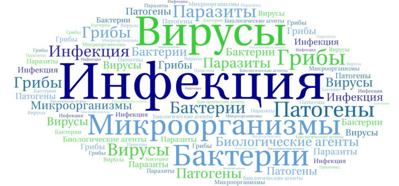 Инфекция
