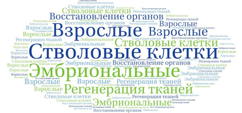 Стволовые клетки