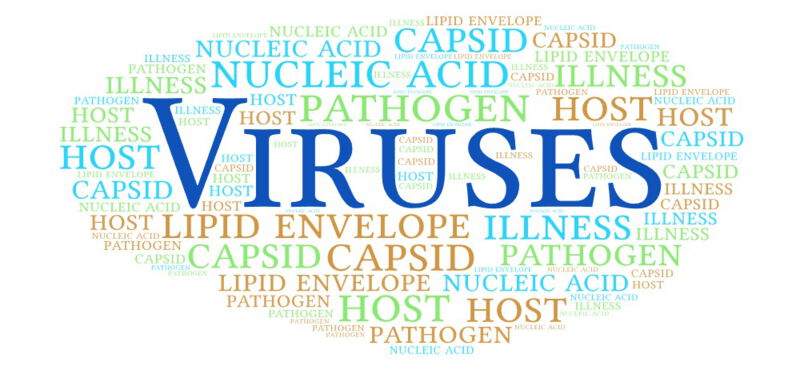 Viruses can cause a wide range of diseases, from mild infections such as the common cold to serious illnesses such as Ebola, HIV/AIDS and COVID-19.