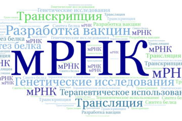 мРНК