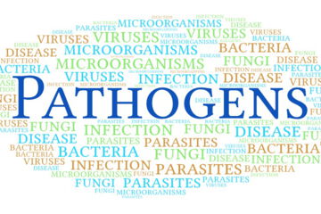 Pathogens use a variety of mechanisms to cause disease: Some cause direct damage to the host cell, while others release toxins that can damage tissue or impair normal cell function.
