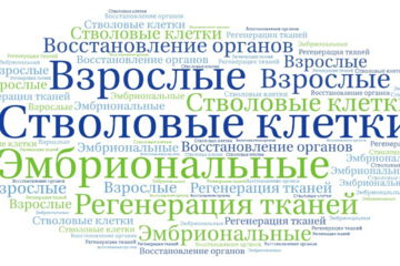 Стволовые клетки