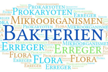 Bakterien sind ein wesentlicher Bestandteil der lebenden Natur und von immenser Bedeutung für das Ökosystem unseres Planeten sowie für die menschliche Aktivität und Gesundheit.