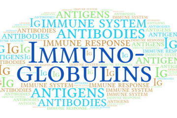 Immunoglobulins have an antibody structure and are able to bind to antigens so that they can detect and attack foreign microorganisms such as bacteria, viruses and other infectious agents.