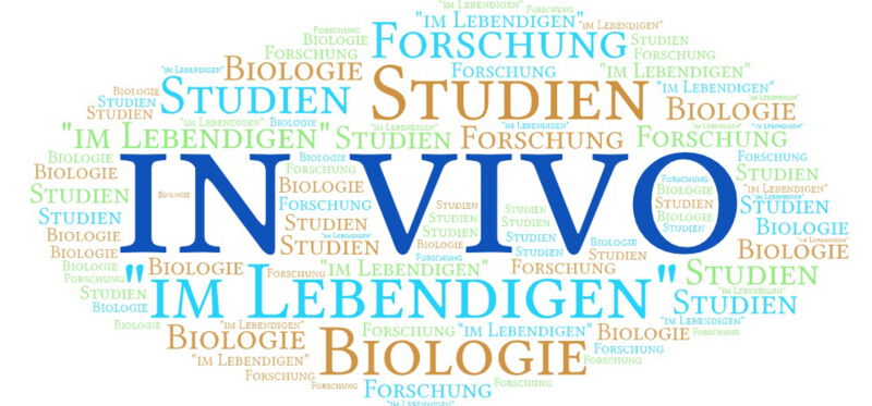 Die In-vivo-Forschung ermöglicht es, die Wechselwirkungen zwischen Zellen, Geweben, Organen und dem gesamten Organismus zu beobachten und die Gesamtauswirkungen auf die Gesundheit und die Funktion des Organismus zu bewerten.
