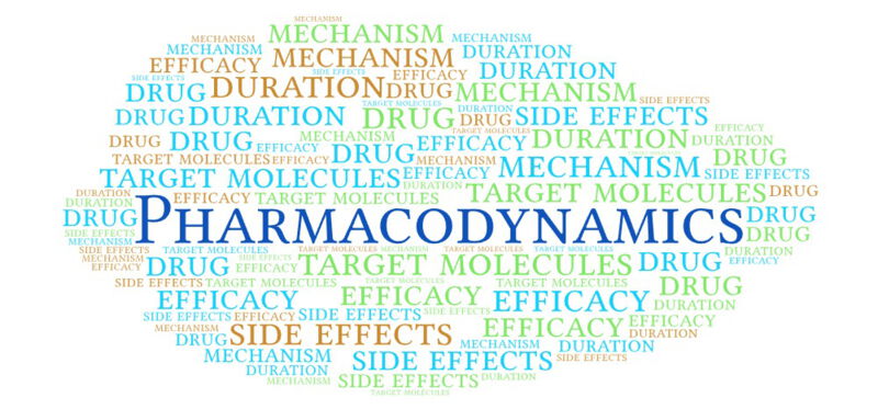Pharmacodynamics also deals with the potency and efficacy of active pharmaceutical ingredients.