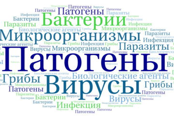 Патогены