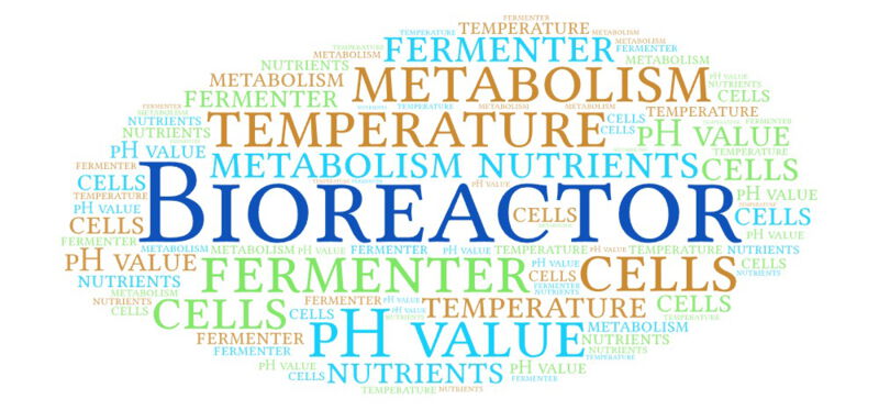 Bioreactors come in various designs and sizes — from small laboratory units to large industrial systems.