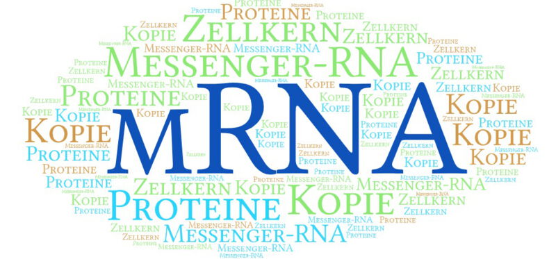Die mRNA ist eine unverzichtbare Komponente für das Funktionieren lebender Organismen und bietet zahlreiche Möglichkeiten für die medizinische Forschung und Therapie.