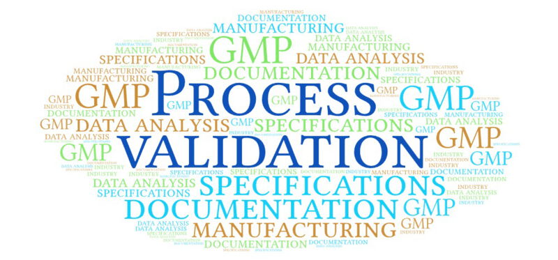 Process validation plays a crucial role in ensuring the quality and safety of end products such as drugs or services.