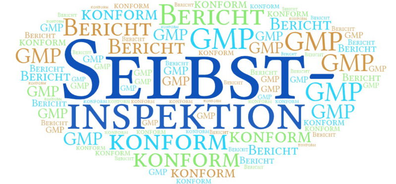 Die Selbstinspektion spielt eine entscheidende Rolle bei der Aufrechterhaltung hoher Standards für Produktqualität und -sicherheit und zeigt den Aufsichtsbehörden das Engagement eines Unternehmens für eine Gute Herstellungspraxis.