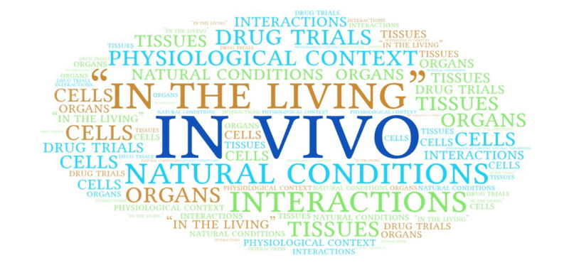 In vivo research makes it possible to observe the interactions between cells, tissues, organs and the organism as a whole and to evaluate the overall effects on the health and function of the organism.
