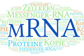 Die mRNA ist eine unverzichtbare Komponente für das Funktionieren lebender Organismen und bietet zahlreiche Möglichkeiten für die medizinische Forschung und Therapie.
