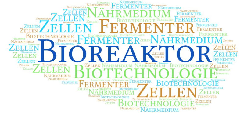 Bioreaktoren gibt es in verschiedenen Ausführungen und Größen – von kleinen Laboreinheiten bis hin zu großen industriellen Systemen.