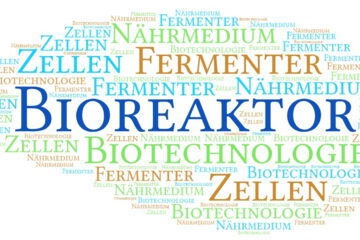 Bioreaktoren gibt es in verschiedenen Ausführungen und Größen – von kleinen Laboreinheiten bis hin zu großen industriellen Systemen.