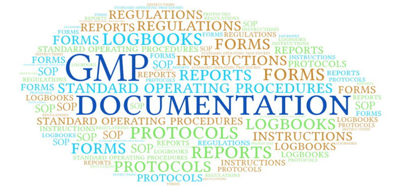 GMP documentation serves as proof that each step of the production process has been carried out properly.