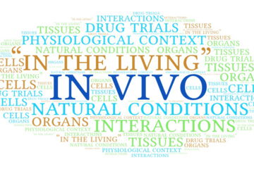 In vivo research makes it possible to observe the interactions between cells, tissues, organs and the organism as a whole and to evaluate the overall effects on the health and function of the organism.