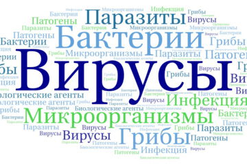 Вирусы