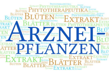 Zu den Teilen von Arzneipflanzen, die für medizinische Zwecke verwendet werden können, gehören Wurzeln, Wurzelstock, Blätter, Blüten, Früchte, Samen, Rinde usw.