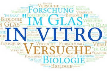In-vitro-Methoden spielen eine wichtige Rolle in der biomedizinischen Forschung, da sie leistungsstarke Instrumente für das Verständnis von Lebensprozessen und die Entwicklung neuer Arzneimittel bieten.