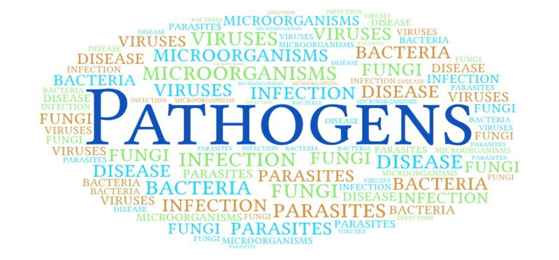 Pathogens use a variety of mechanisms to cause disease: Some cause direct damage to the host cell, while others release toxins that can damage tissue or impair normal cell function.