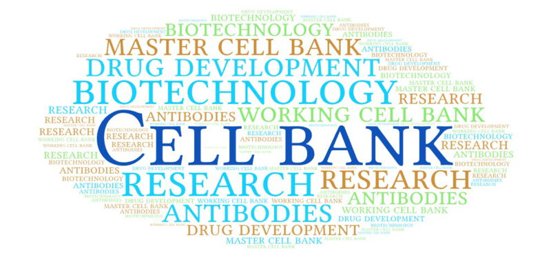 The cells in a cell bank may be of various types, including but not limited to bacterial, animal, human or insect cells.