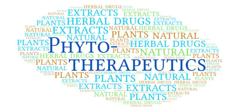 Phytotherapeutics can come in various forms such as medicinal teas, tinctures, extracts, tablets, capsules, oils and creams.