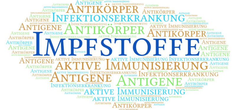 Wenn ein Mensch oder ein Tier einen Impfstoff erhält, "lernt" sein Immunsystem, diese Antigene zu erkennen und Antikörper gegen sie zu bilden. Bei einer passiven Immunisierung enthält der Impfstoff bereits die Antikörper.