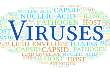 Viruses can cause a wide range of diseases, from mild infections such as the common cold to serious illnesses such as Ebola, HIV/AIDS and COVID-19.