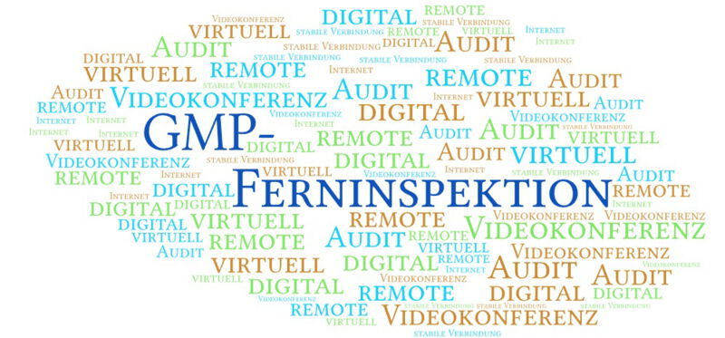 Eine GMP-Ferninspektion ist die einzige machbare Lösung, z. B. im Falle einer Pandemie.