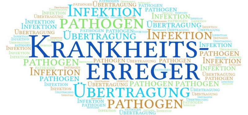 Krankheitserreger nutzen eine Vielzahl von Mechanismen, um Krankheiten zu verursachen: Manche verursachen eine direkte Schädigung der Wirtszelle, andere setzen Toxine frei, die das Gewebe schädigen oder die normale Zellfunktion beeinträchtigen können.