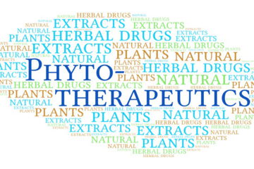 Phytotherapeutics can come in various forms such as medicinal teas, tinctures, extracts, tablets, capsules, oils and creams.